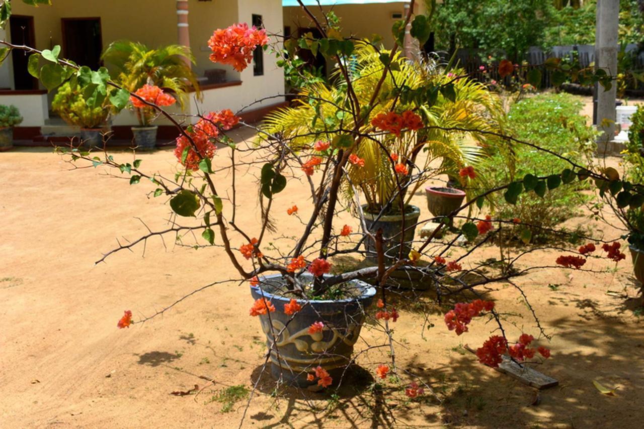 Yaswi Guest House Passikudah エクステリア 写真